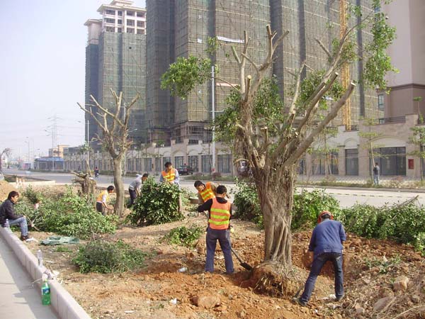 中山永基建設有限公司坦洲界獅南路